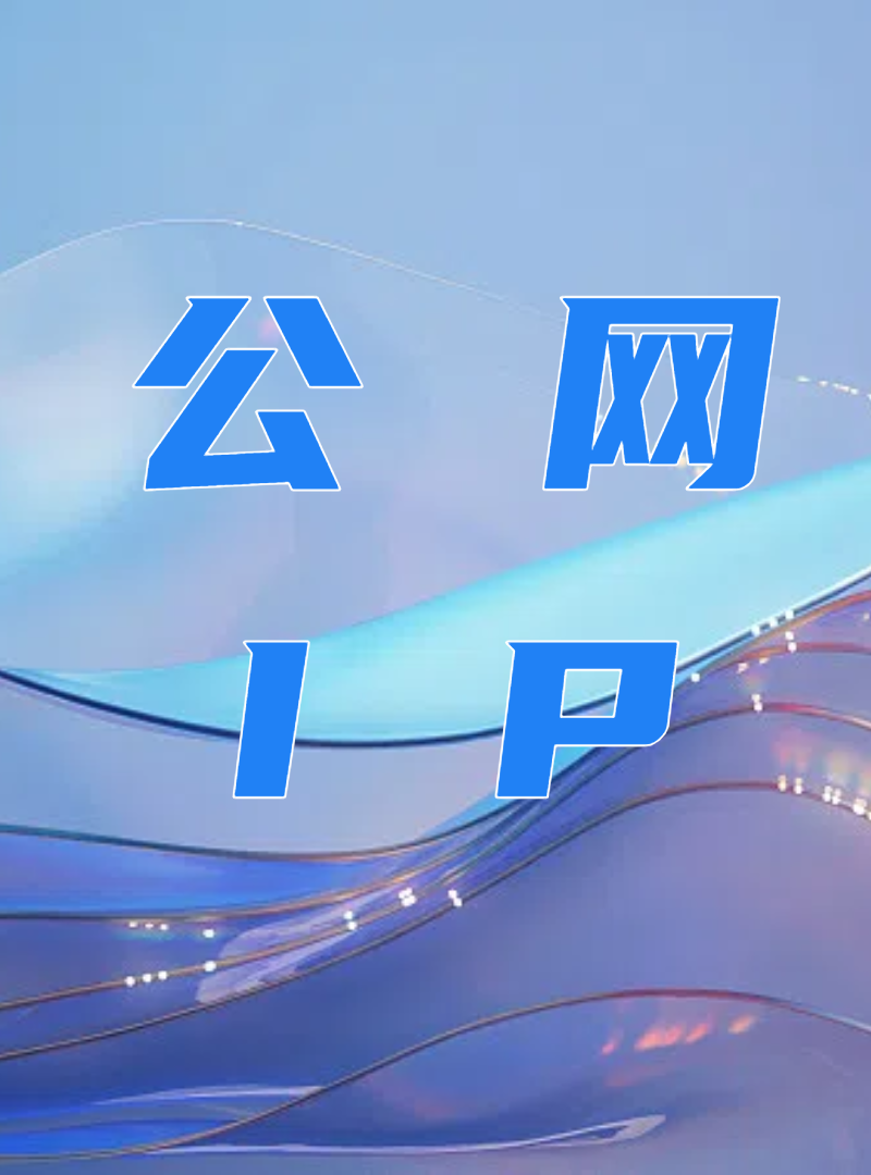 公网IP地址